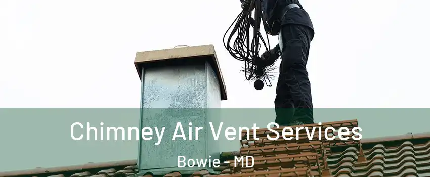  Chimney Air Vent Services Bowie - MD
