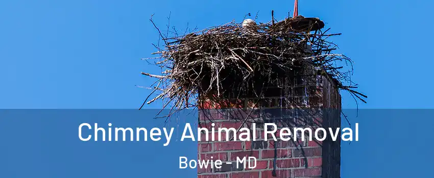 Chimney Animal Removal Bowie - MD