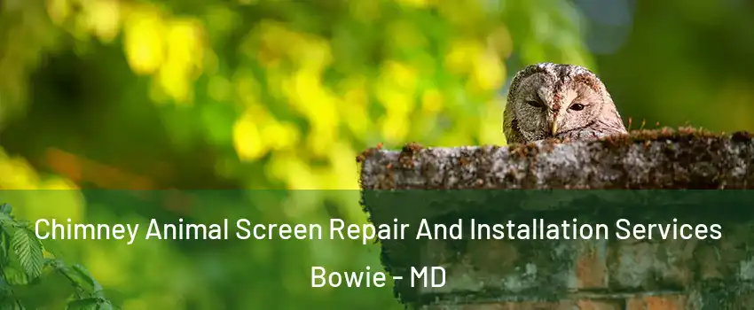  Chimney Animal Screen Repair And Installation Services Bowie - MD