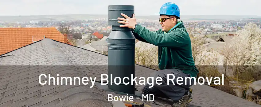  Chimney Blockage Removal Bowie - MD