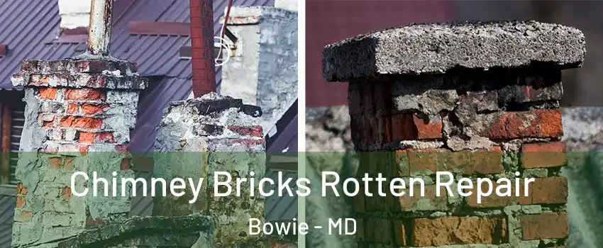  Chimney Bricks Rotten Repair Bowie - MD