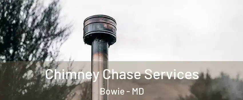  Chimney Chase Services Bowie - MD