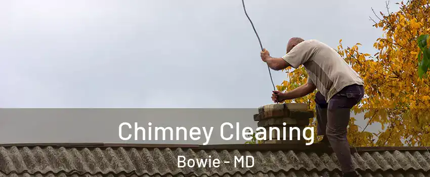  Chimney Cleaning Bowie - MD
