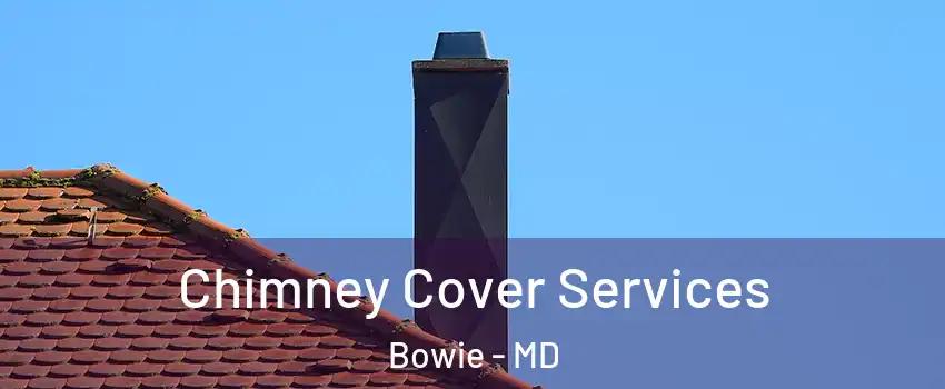  Chimney Cover Services Bowie - MD