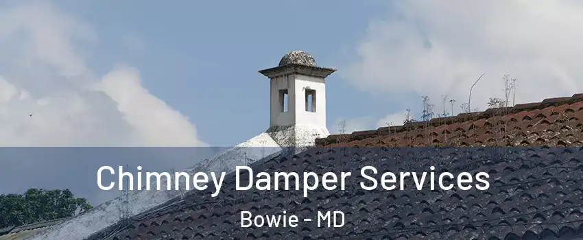 Chimney Damper Services Bowie - MD