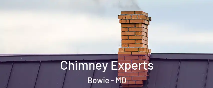 Chimney Experts Bowie - MD