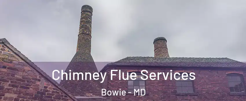  Chimney Flue Services Bowie - MD