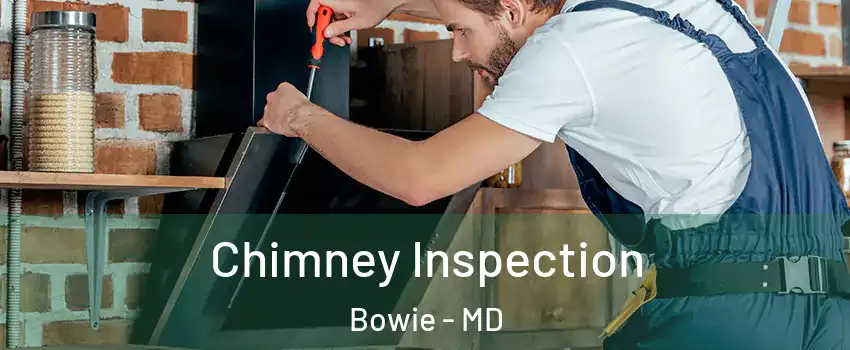 Chimney Inspection Bowie - MD