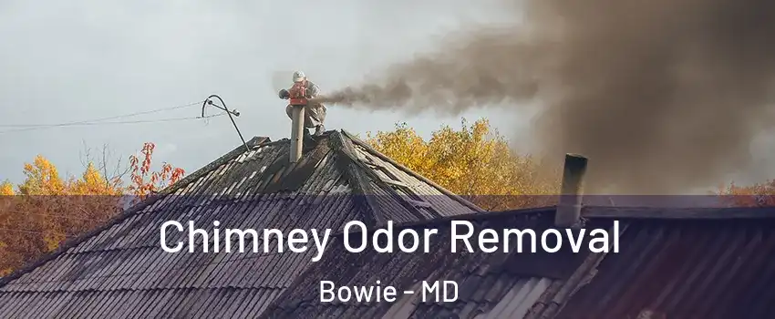  Chimney Odor Removal Bowie - MD