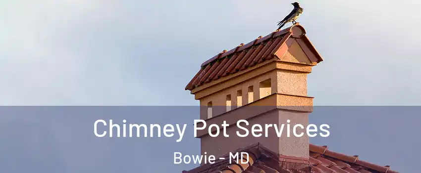  Chimney Pot Services Bowie - MD