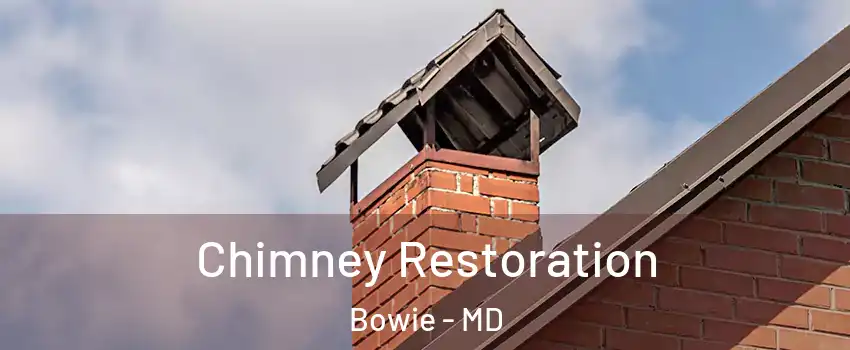  Chimney Restoration Bowie - MD