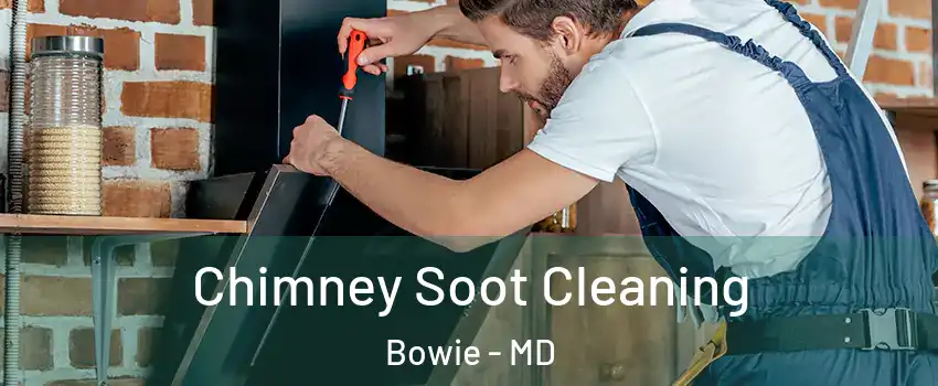  Chimney Soot Cleaning Bowie - MD