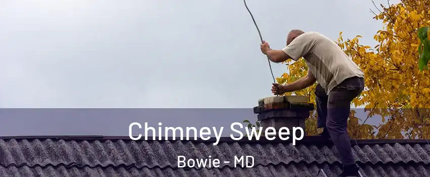  Chimney Sweep Bowie - MD
