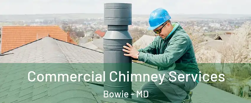  Commercial Chimney Services Bowie - MD