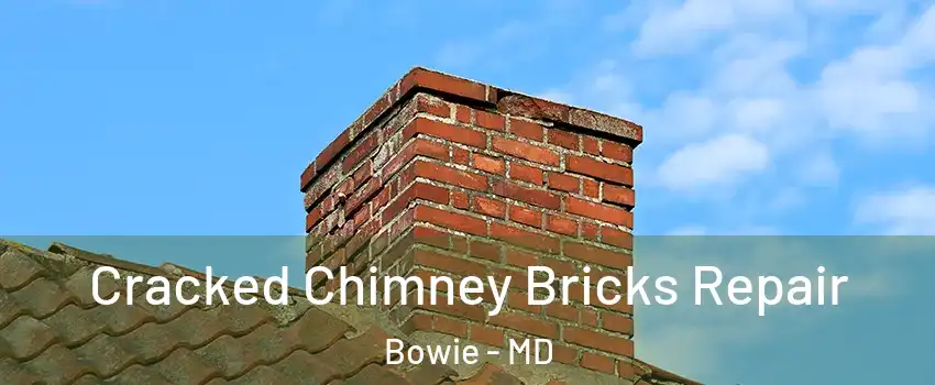  Cracked Chimney Bricks Repair Bowie - MD
