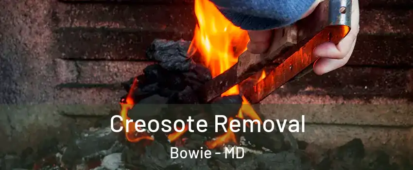  Creosote Removal Bowie - MD