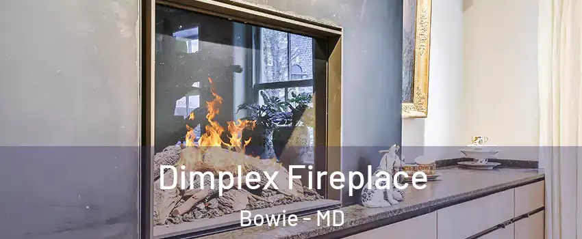  Dimplex Fireplace Bowie - MD
