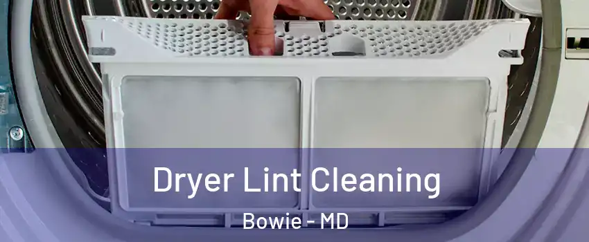  Dryer Lint Cleaning Bowie - MD