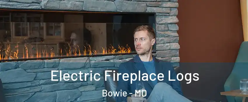  Electric Fireplace Logs Bowie - MD
