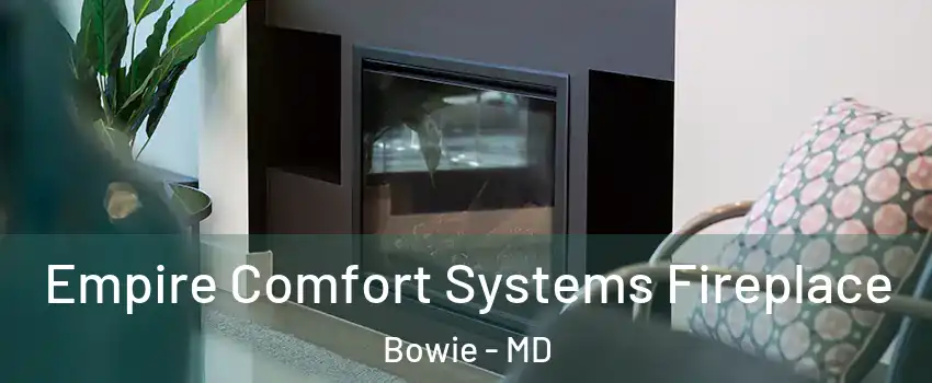  Empire Comfort Systems Fireplace Bowie - MD
