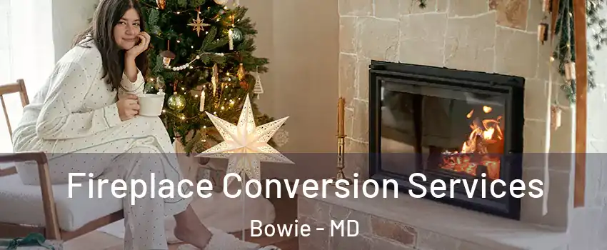  Fireplace Conversion Services Bowie - MD