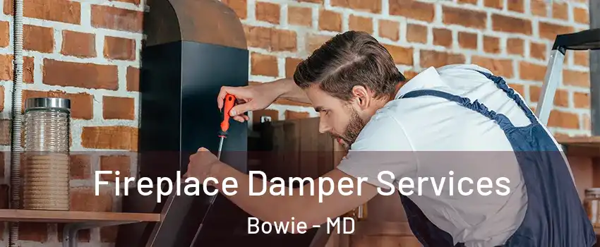  Fireplace Damper Services Bowie - MD