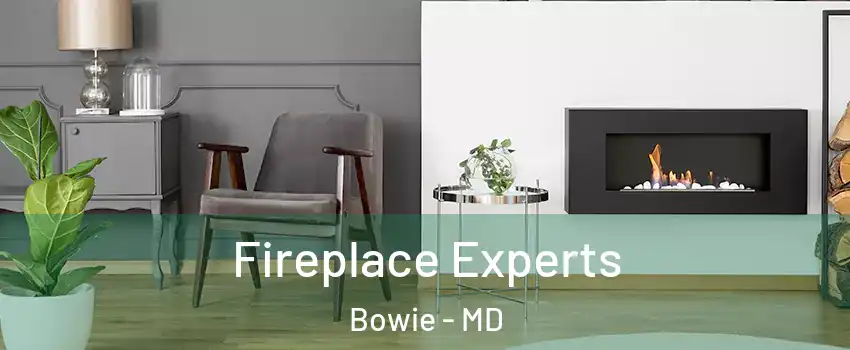  Fireplace Experts Bowie - MD