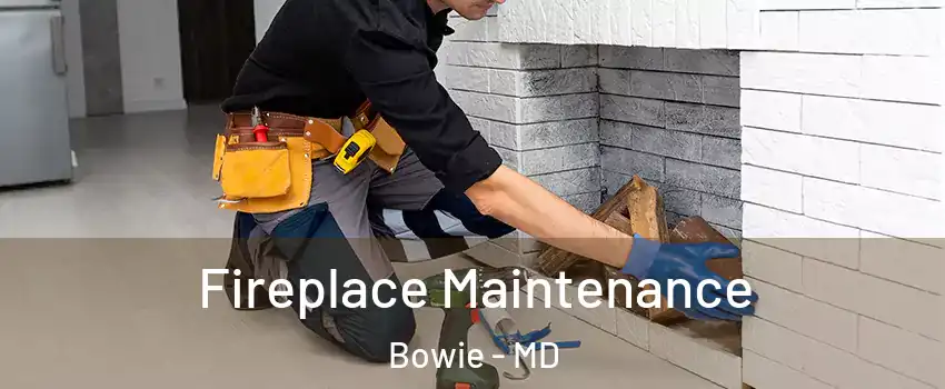  Fireplace Maintenance Bowie - MD