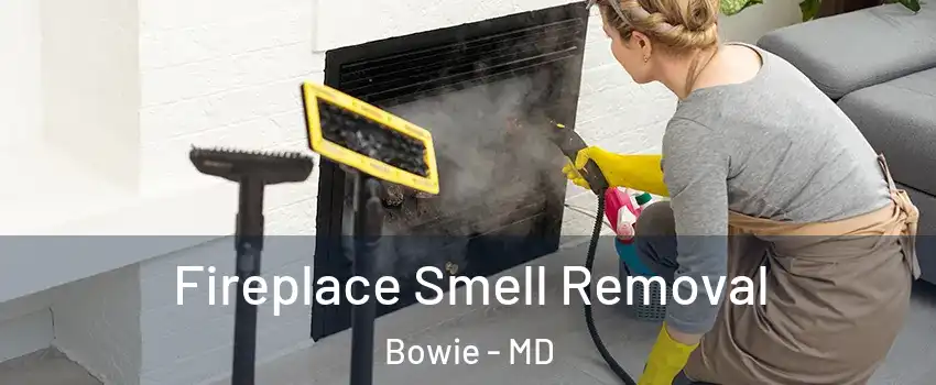  Fireplace Smell Removal Bowie - MD