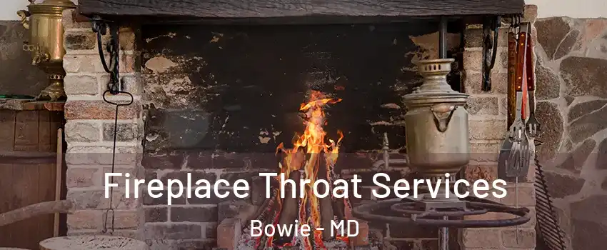  Fireplace Throat Services Bowie - MD