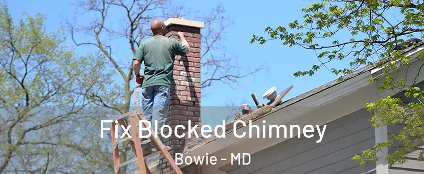  Fix Blocked Chimney Bowie - MD