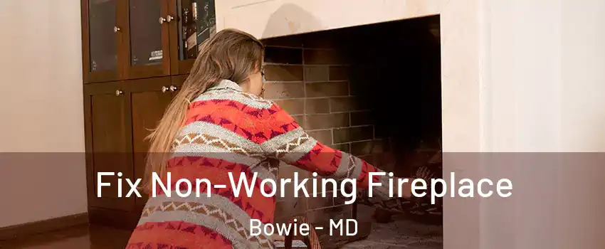  Fix Non-Working Fireplace Bowie - MD