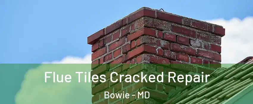  Flue Tiles Cracked Repair Bowie - MD