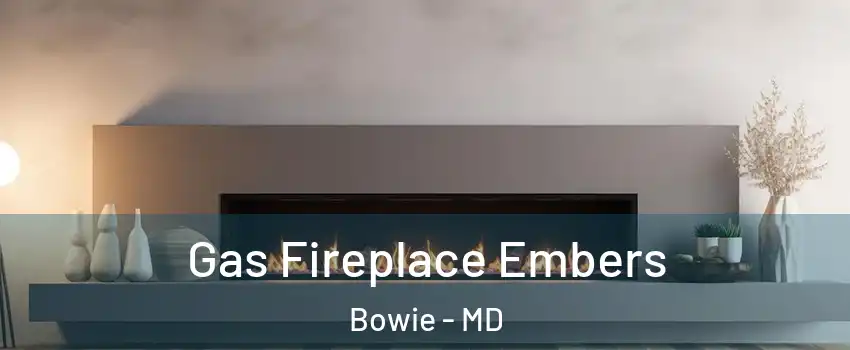  Gas Fireplace Embers Bowie - MD