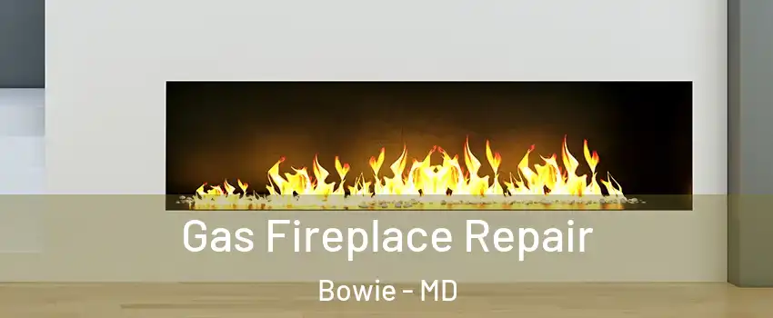  Gas Fireplace Repair Bowie - MD