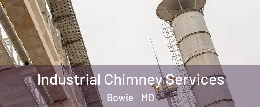  Industrial Chimney Services Bowie - MD