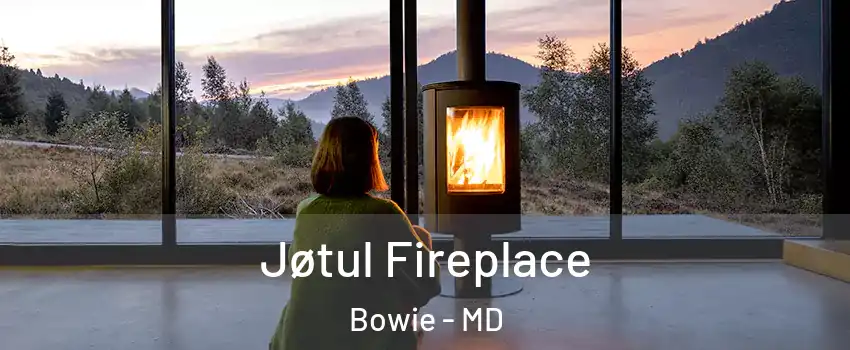  Jøtul Fireplace Bowie - MD