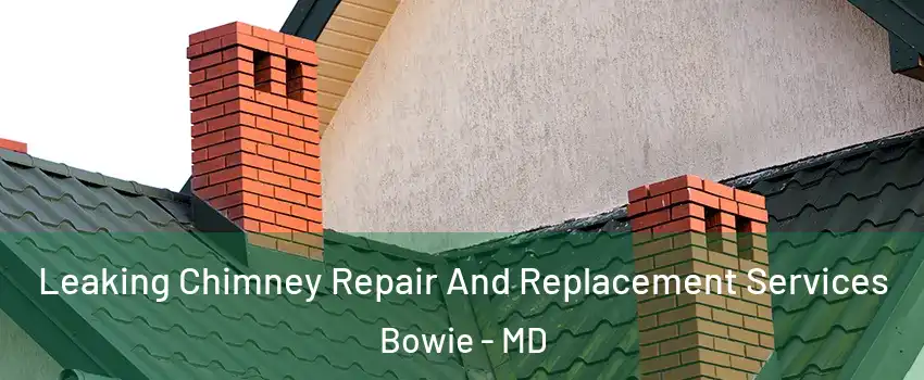  Leaking Chimney Repair And Replacement Services Bowie - MD