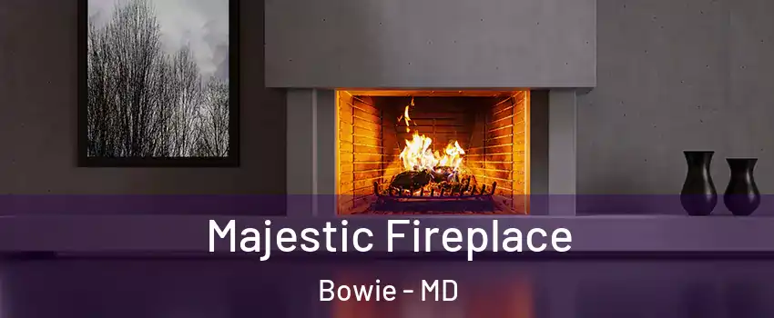  Majestic Fireplace Bowie - MD