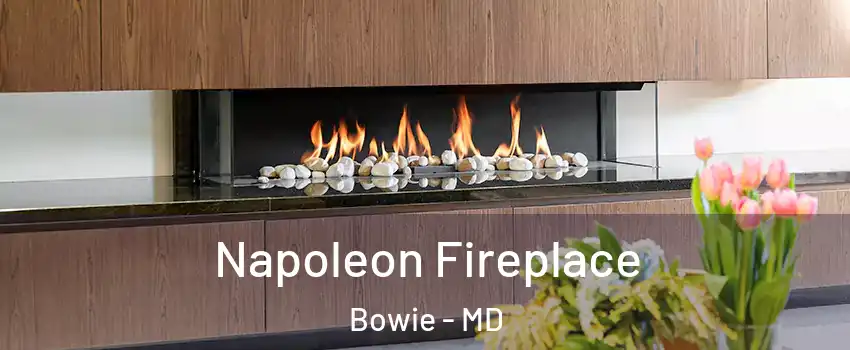  Napoleon Fireplace Bowie - MD