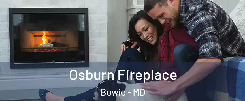  Osburn Fireplace Bowie - MD