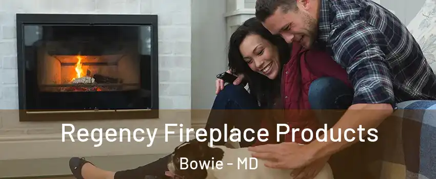  Regency Fireplace Products Bowie - MD