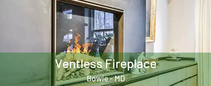  Ventless Fireplace Bowie - MD